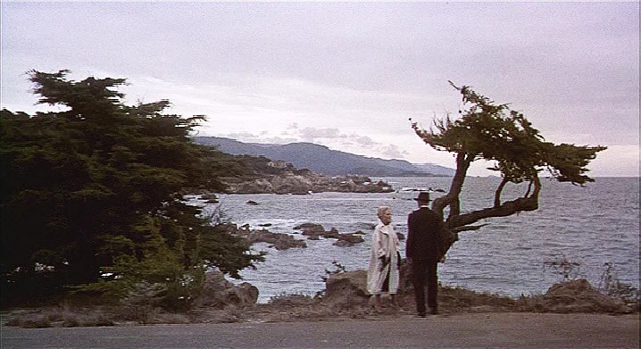 Filmstill aus Vertigo: Madeleine und Scottie an der windgepeitschten Zypresse an der Küste