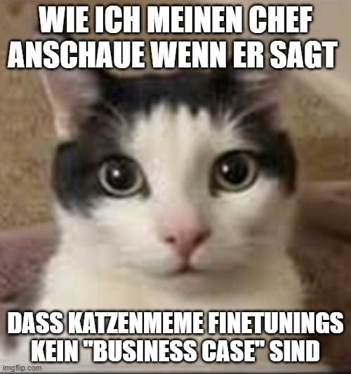 KI-generiertes Katzenmeme mit der Bildunterschrift: wie ich meinen Chef anschaue, wenn er sagt, dass Katzenmeme-Finetunings kein Business Case sind